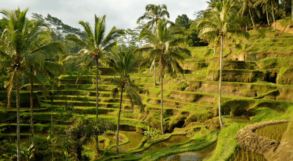 ubud