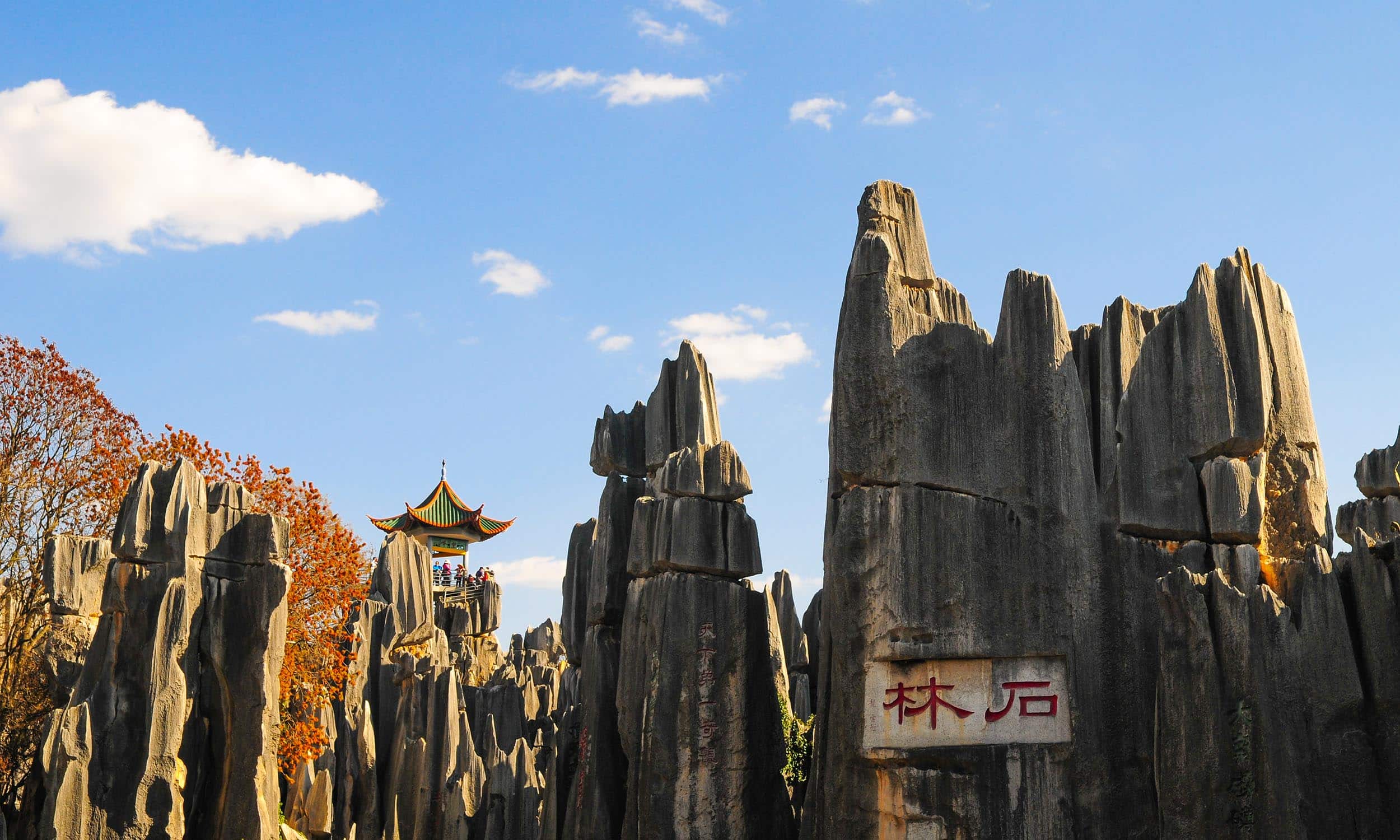 Stone Forest Scenic Kunming 3