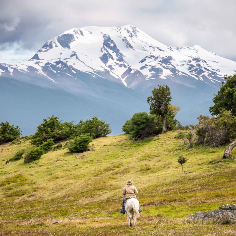 Chile, Estancia La Peninsula, Punta Arenas