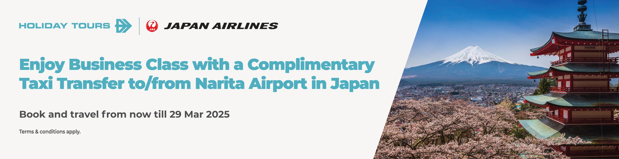 Japan Airlines Web Banner