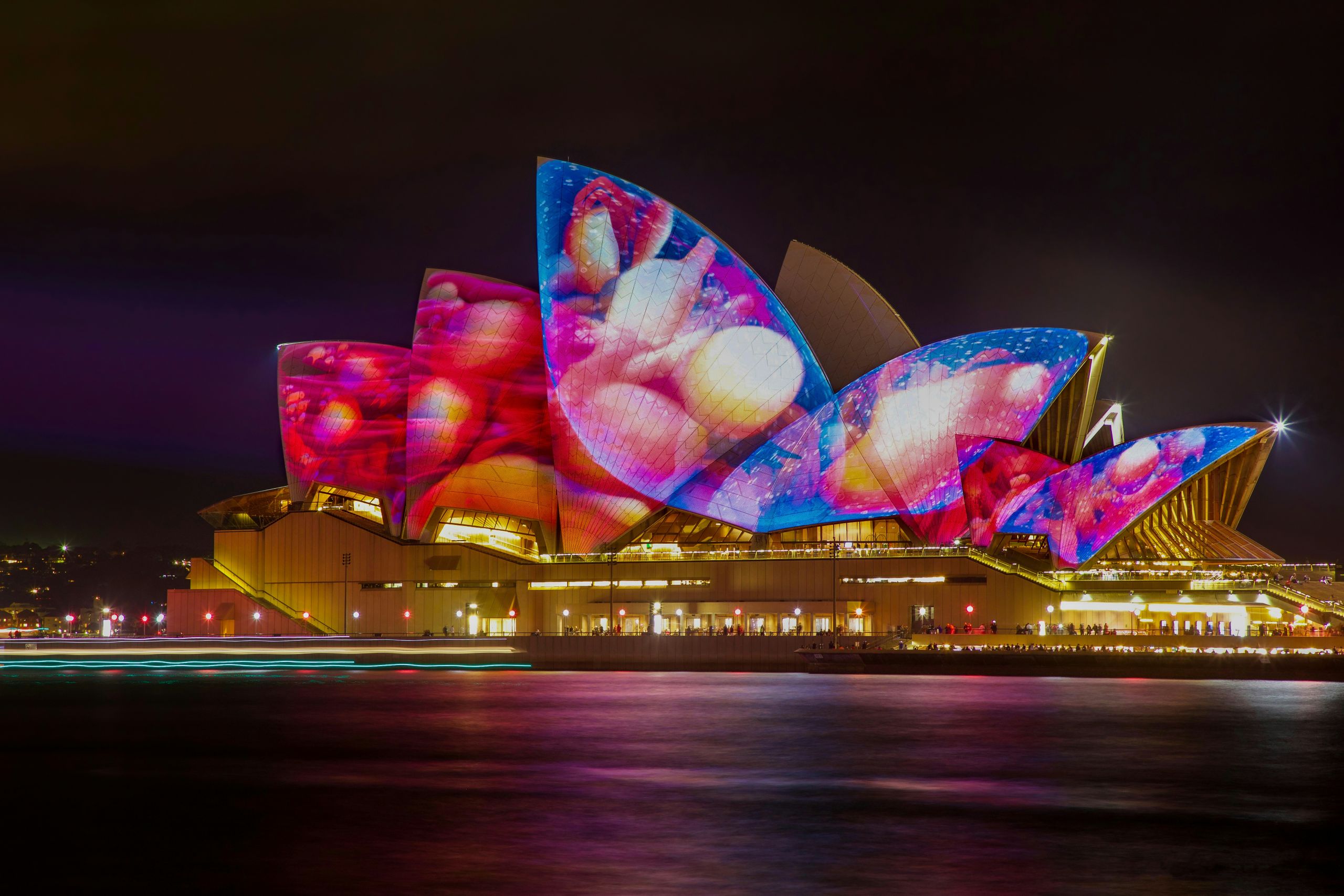 Vivid Sydney scaled