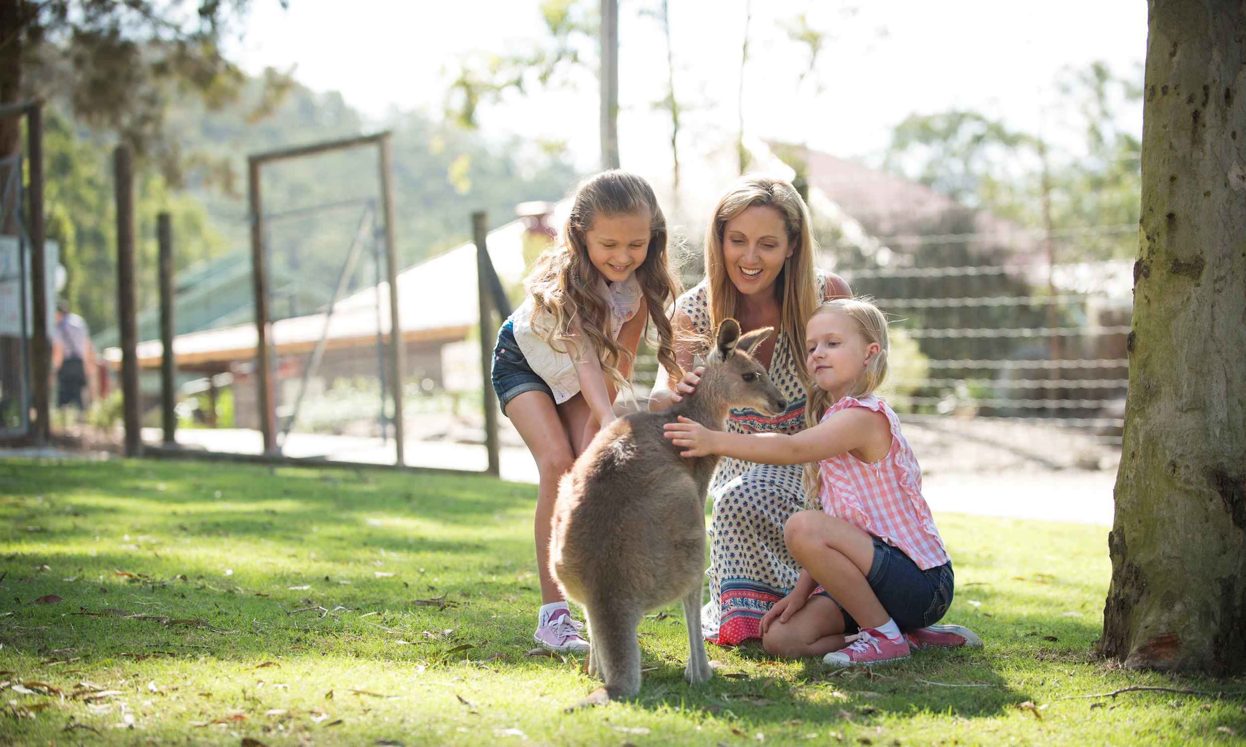 Paradise Country Farm, Gold Coast, Australia