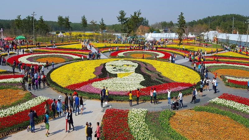 Taean Tulip Festival